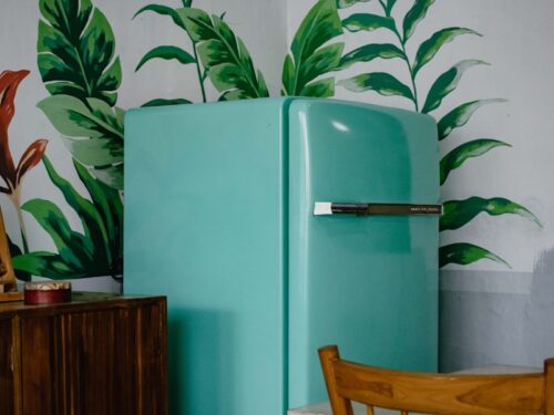 blue refrigerator beside green-leafed plant