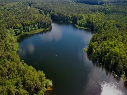 Patriotizmas – ne vien Trispalvė ant peties