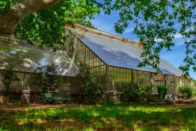 a green house sitting under a tree next to a lush green field