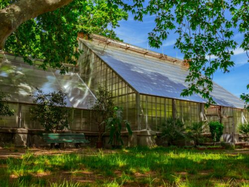 a green house sitting under a tree next to a lush green field