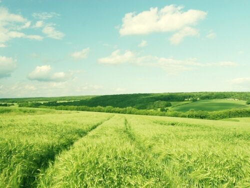 Ar Lietuvos Respublikos Prezidento patarėjai gina Lietuvos Respublikos piliečių konstitucines teises?