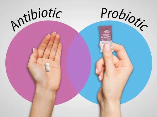 Probiotikų vaidmuo žmogaus organizme