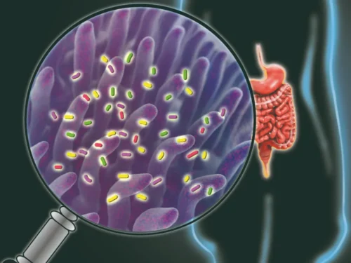 Probiotikų savybės (6) Lactobacillus rhamnosus