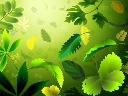 Kad imunitetas būtų stiprus