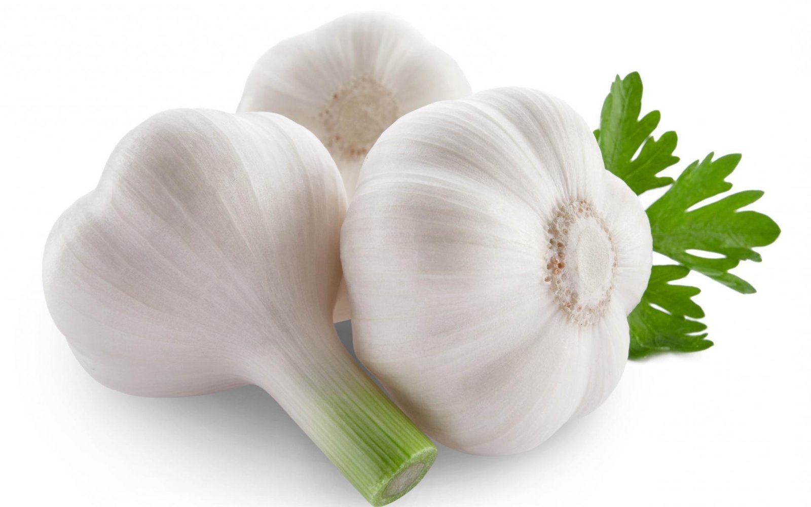Garlic.jpg