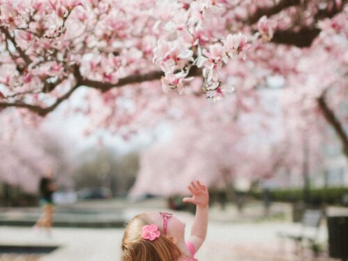 girl under cherry blossom tree