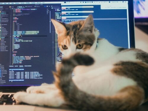 a cat laying on top of a laptop computer