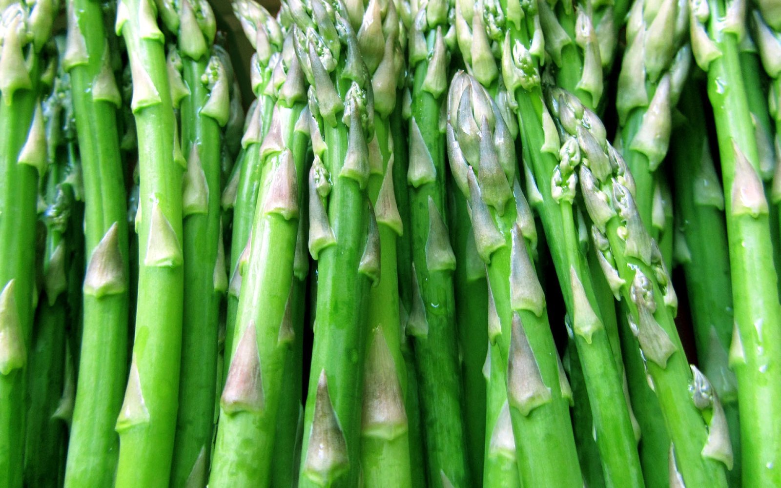 Green bio asparagus buds healthy low calories sodium 1920x1200 99 wide.jpg