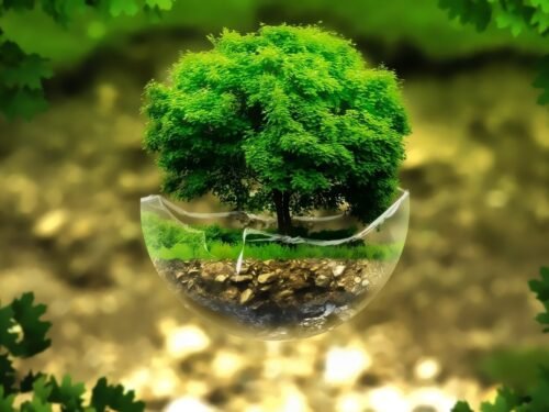 Aš labai turtingas, nes turiu Tėvynę