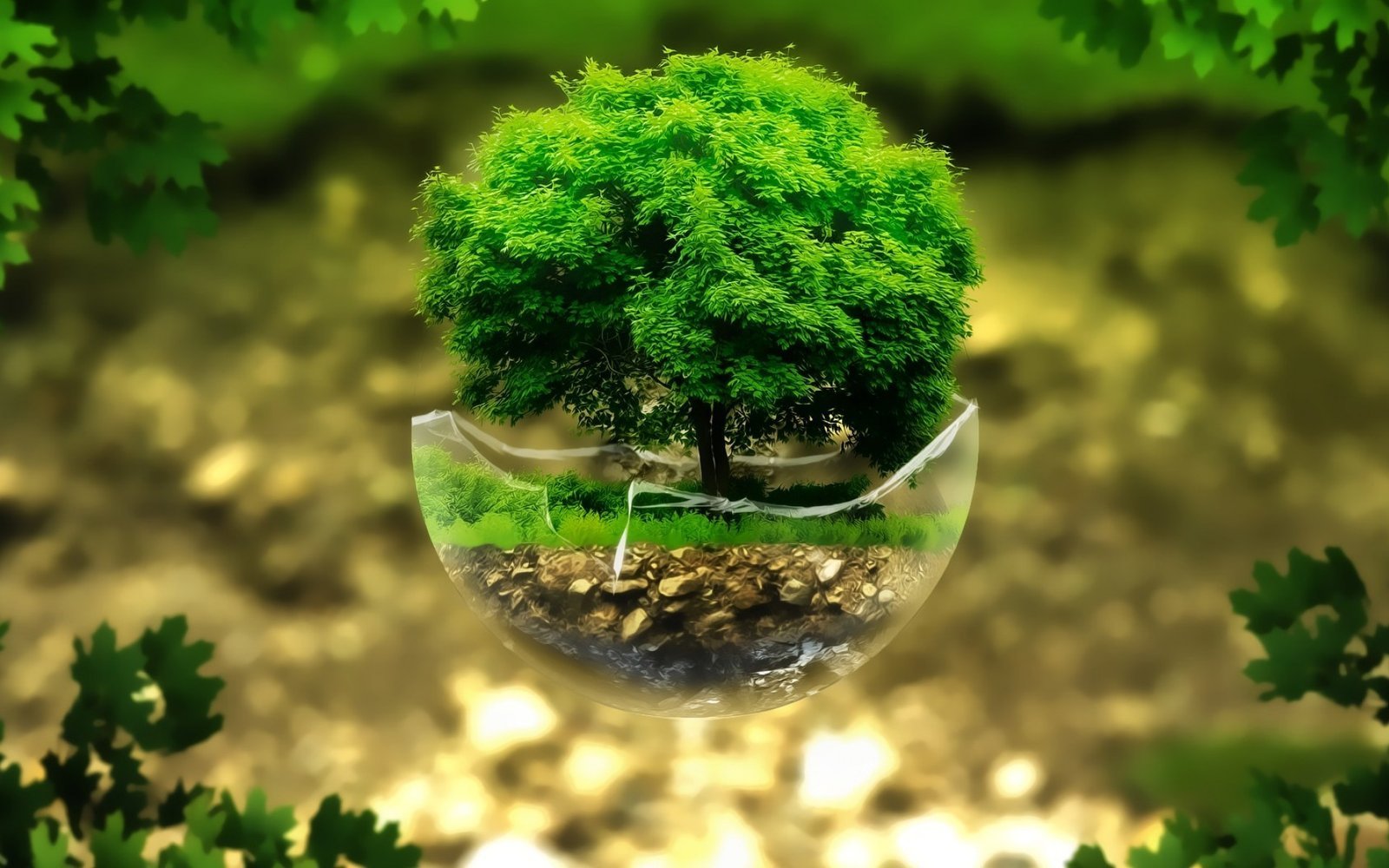 Green tree digitalart nature 1.jpg