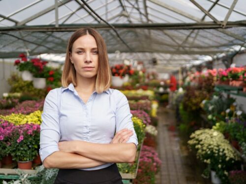 Prie namo sienos tvirtinami šiltnamiai – įrengimo ypatybės, privalumai ir trūkumai