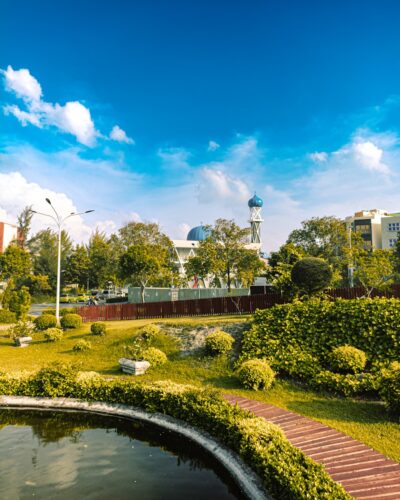 a pond in a park with a clock tower in the background