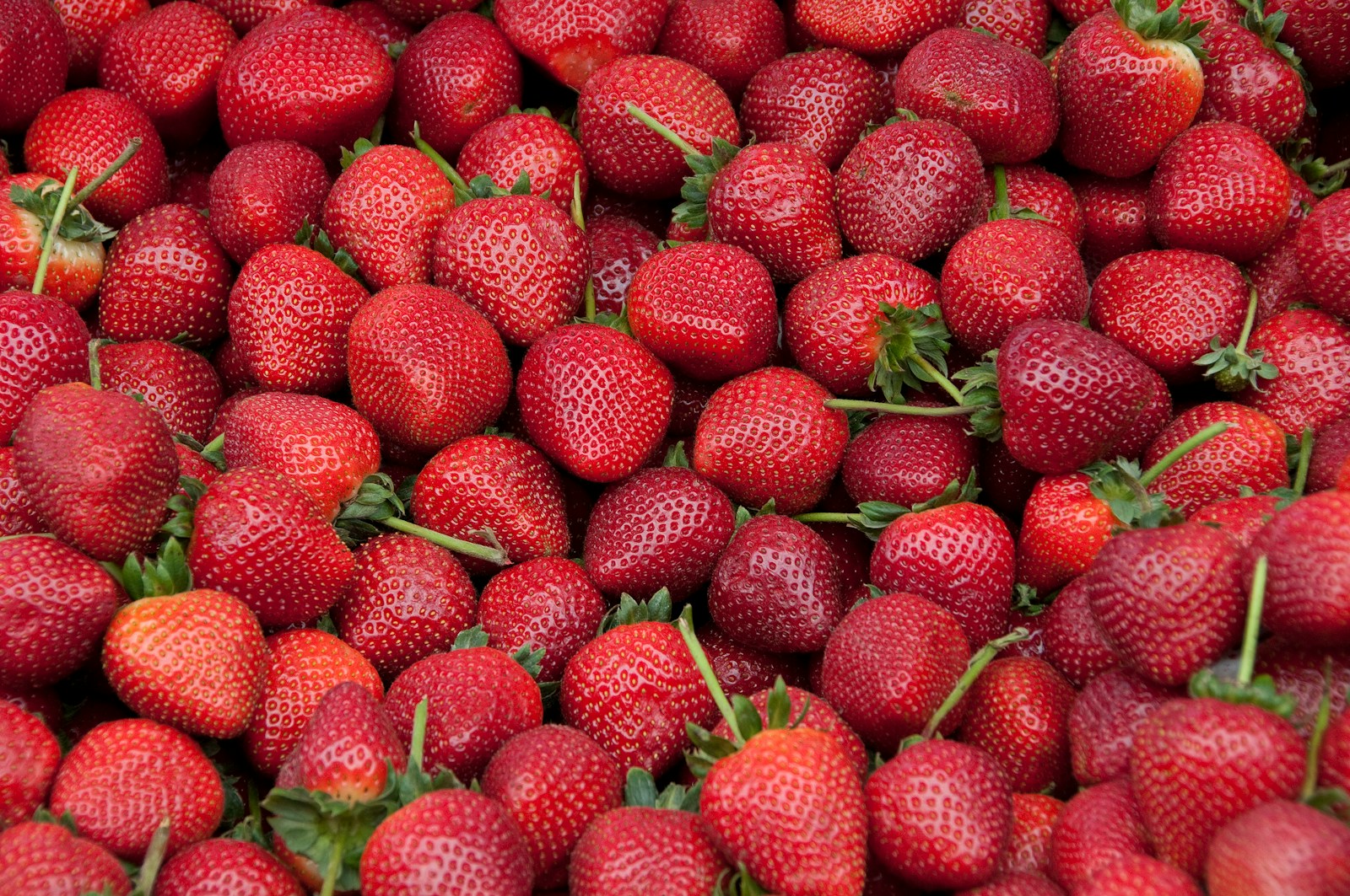 red raspberries