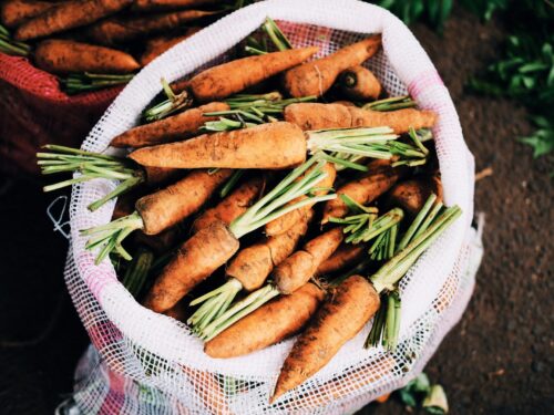 ripe carrots inside white net sack