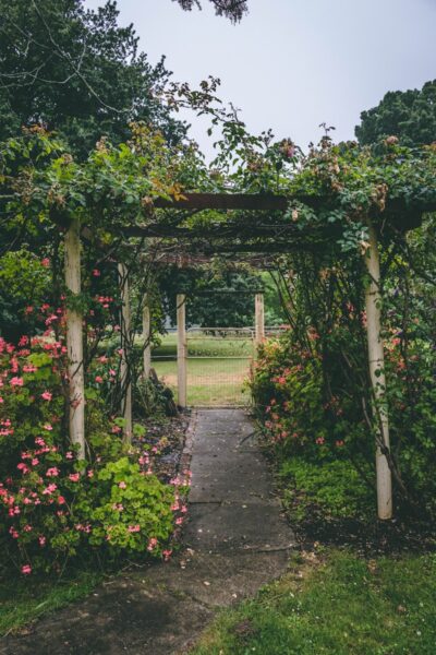 white and brown wooden garden arbor