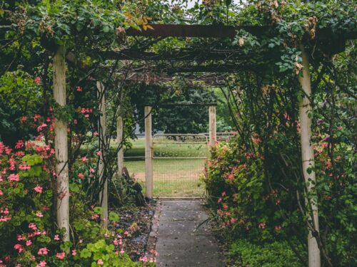 white and brown wooden garden arbor