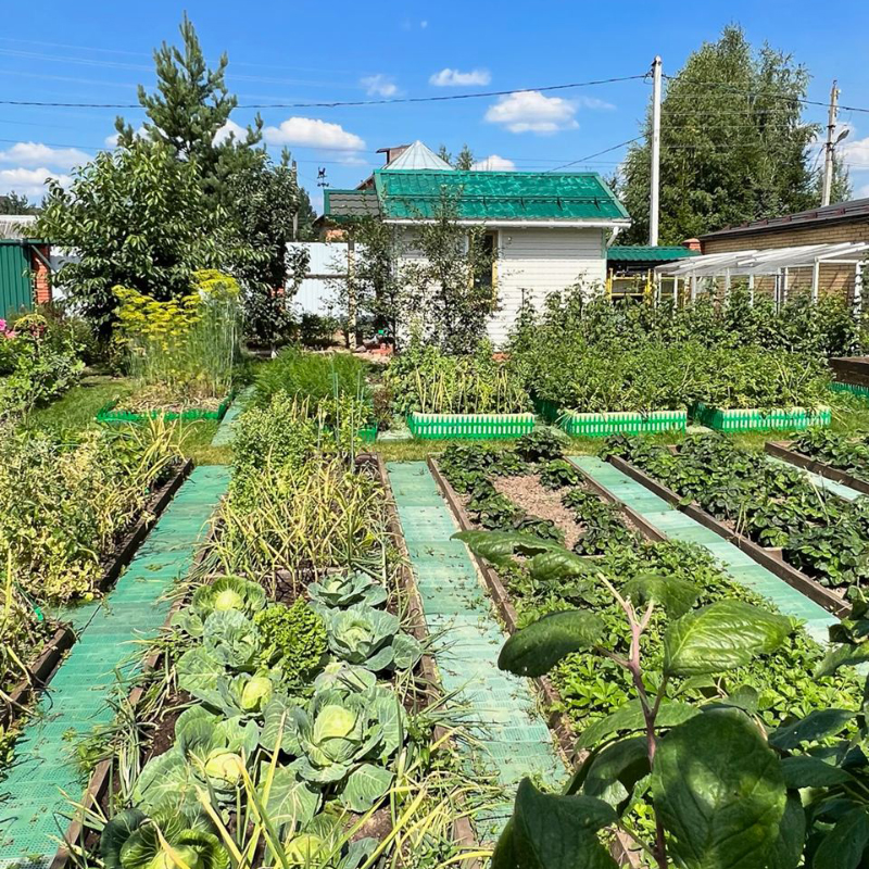 Štai kaip dabar atrodo mūsų sodas: septyniuose aruose yra lysvės ir du šiltnamiai. Dar septyni arai skirti 300 m² ploto namui. Specialiai pasistatėme tokį didelį namą, kad pas mus galėtų atvykti tėvai ir vaikai su šeimomis