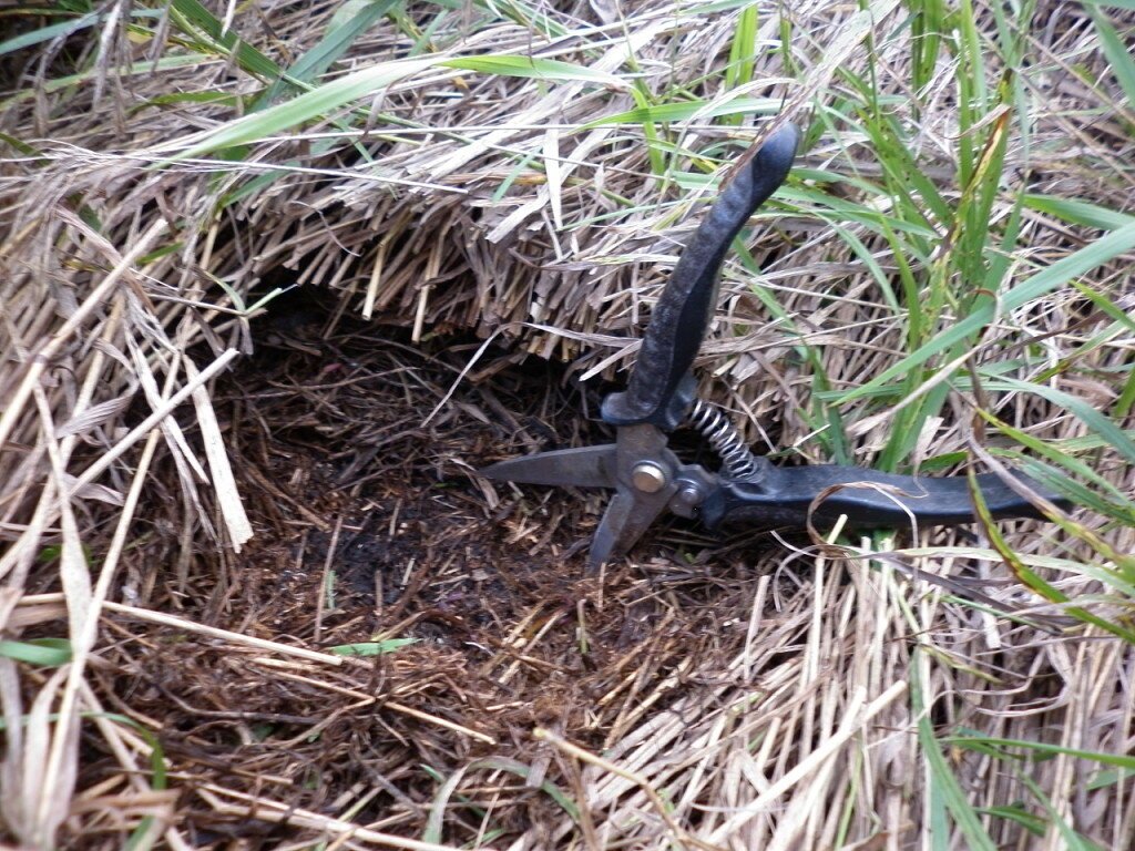 Bandysiu dar kartą, tikėdamasis kaip nors padėti sodininkams suprasti natūralų ūkininkavimą, pateikdamas klausimus ir atsakymus. Pabandysiu juos sujungti šiame straipsnyje..-6