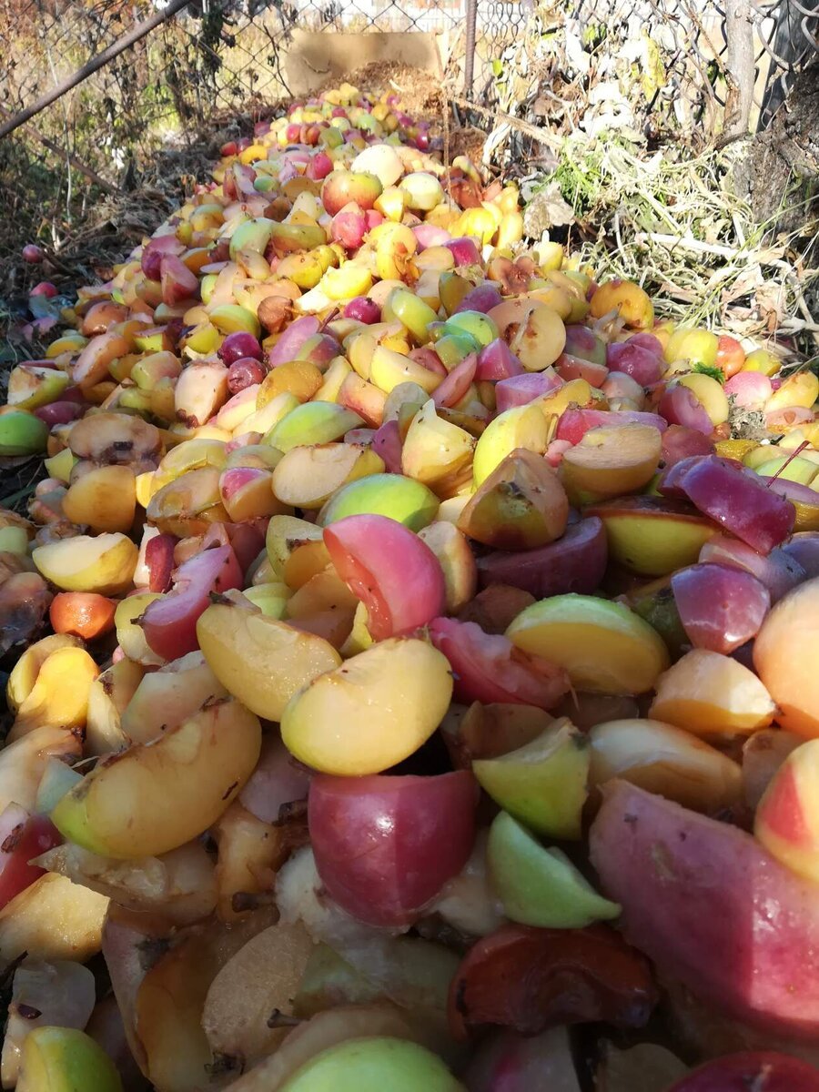 Bandysiu dar kartą, tikėdamasis kaip nors padėti sodininkams suprasti natūralų ūkininkavimą, pateikdamas klausimus ir atsakymus. Pabandysiu juos sujungti šiame straipsnyje..-7
