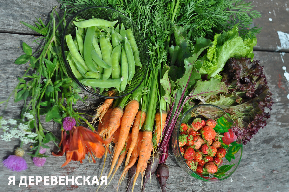 Iki sodų sezono dar bent mėnuo, bet aš jau prastai pradedu. Pasodinau pomidorus, gėles, nubraižiau būsimų lysvių planą. Ir šiandien noriu papasakoti apie savo tingų natūralų sodą.-2