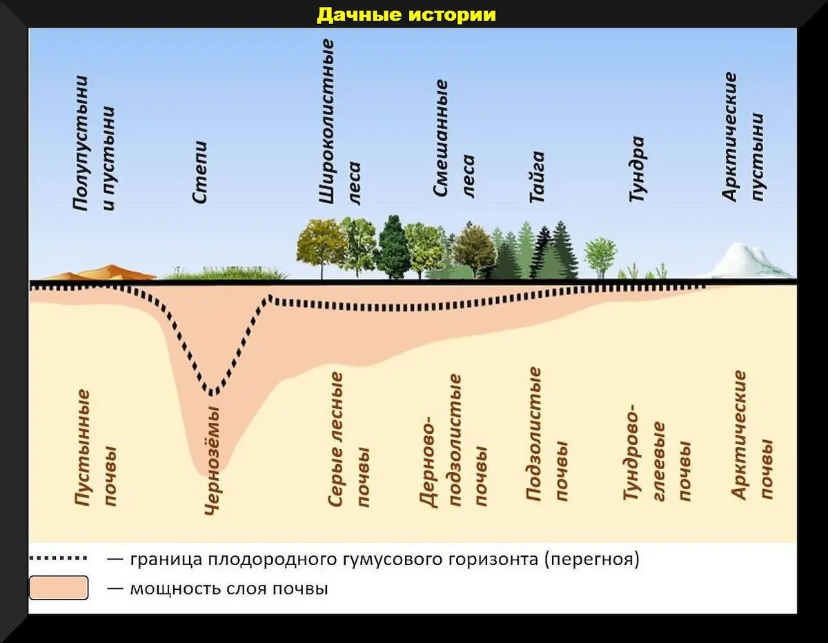 Kaip padidinti dirvožemio derlingumą rudenį ir paruošti lysves sodinimui: svarbios mineralinių ir organinių trąšų naudojimo taisyklės