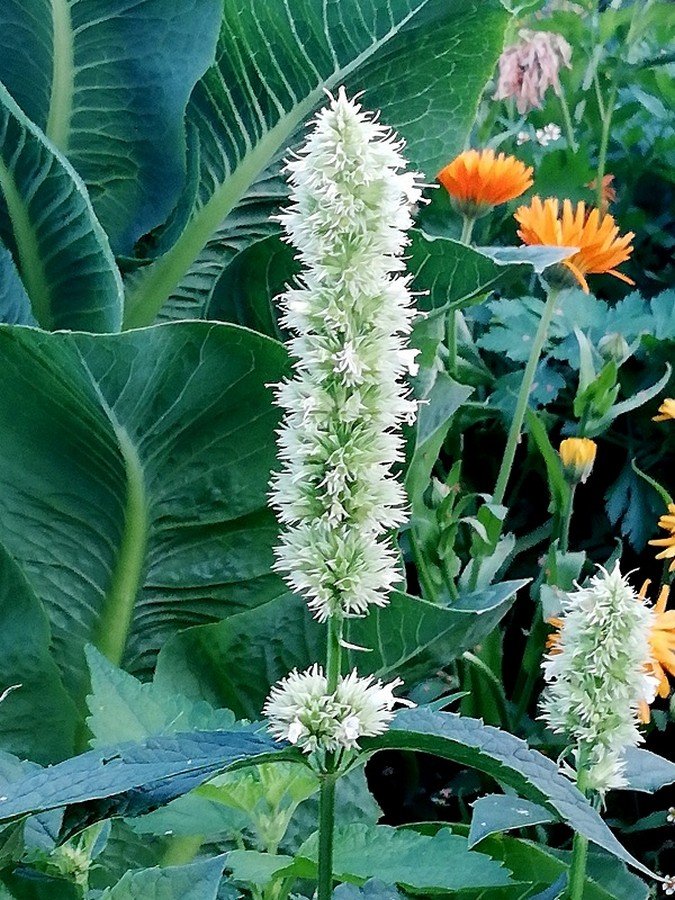 blog_img1