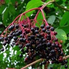 blog_img1