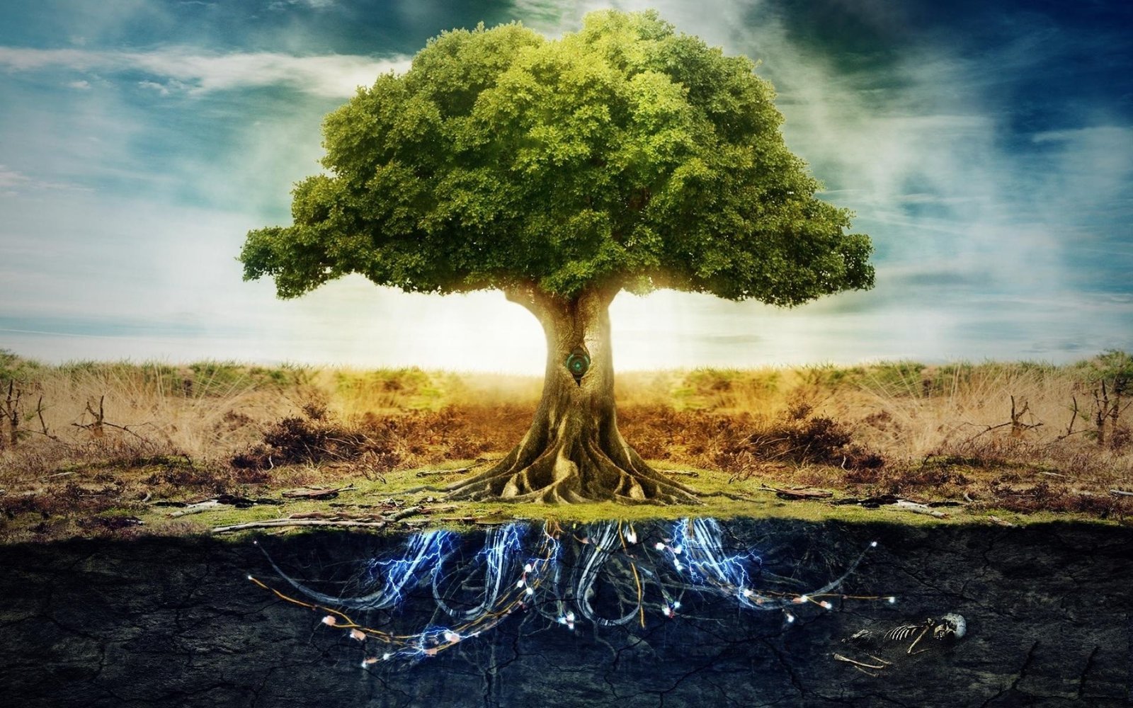 Indoeuropieciai ir ju prokalbe life tree gyvybes medis.jpg