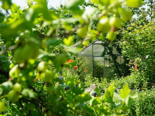 a greenhouse surrounded by trees and bushes