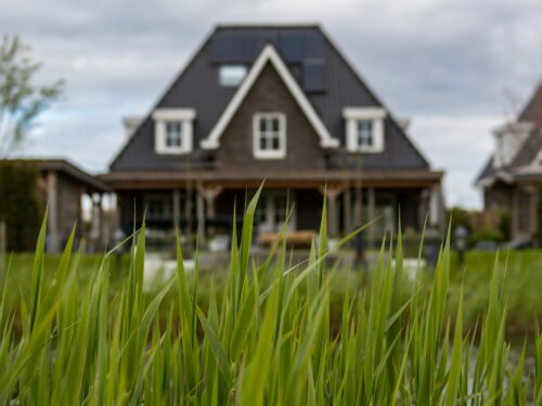 white and black house near to pond