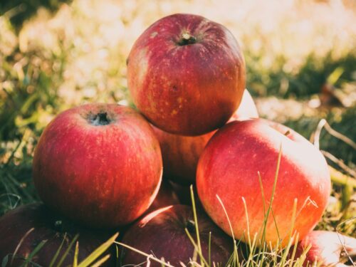 bunch of red apple on grass field