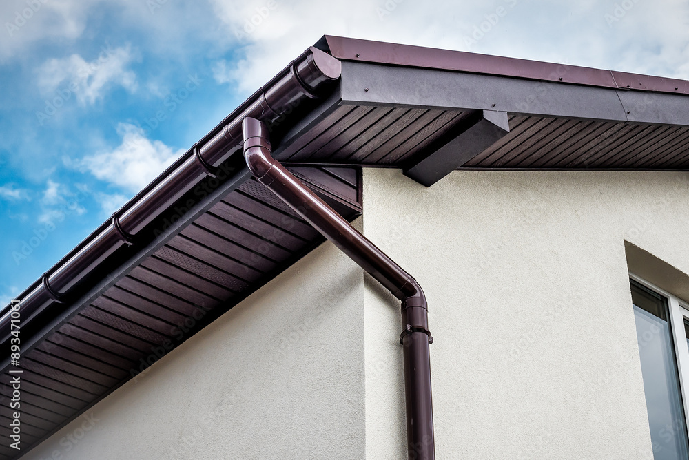 Lateral coated metal panel, rain gutter and rain water pipe at a roof