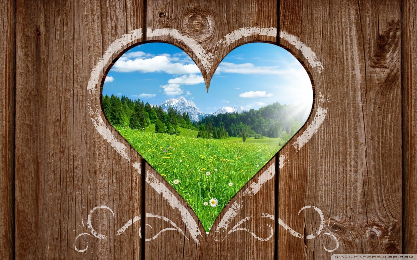 Love nature.jpg