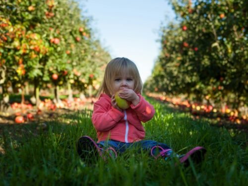 girl sitting on green grass field holding green fruit during daytime