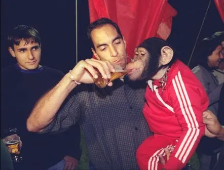 Monkey (4)