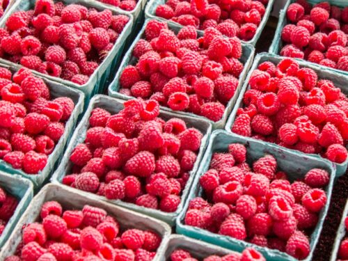 fresh raspberries are displayed in trays for sale