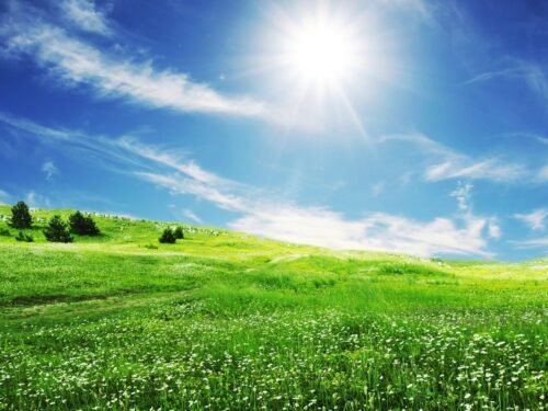 Jonas Trinkūnas apie Baltų Švenčių sąsajas su Gamta