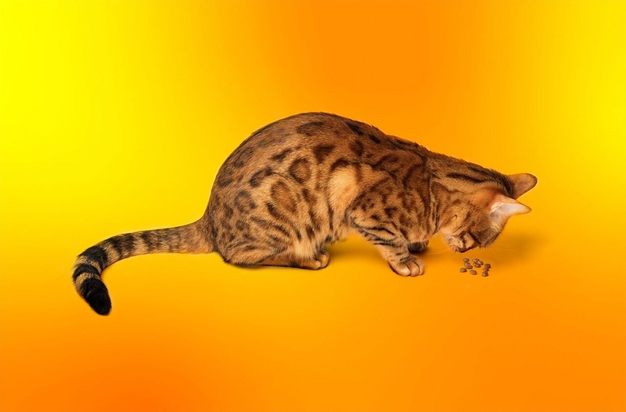 Nesandarus dubuo arba išmaniųjų tiektuvų pavojai