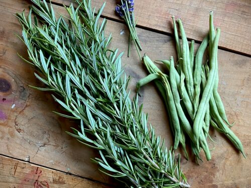 a bunch of herbs sitting on top of a wooden table