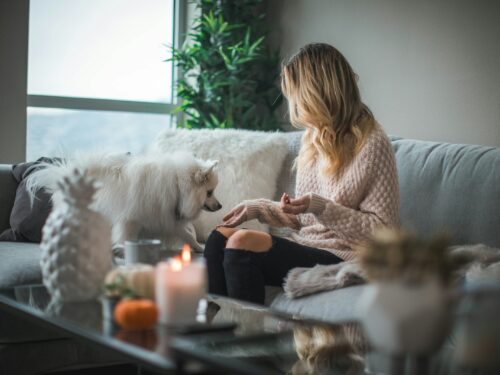 woman sitting on sofa while holding food for dog