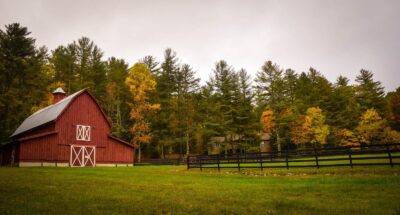 barn surrounded by trees