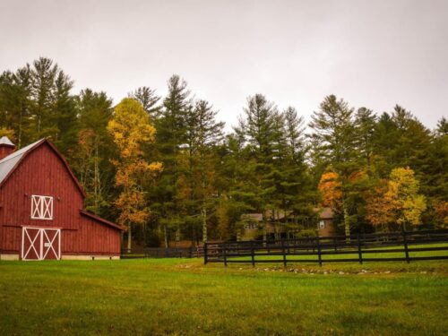 barn surrounded by trees