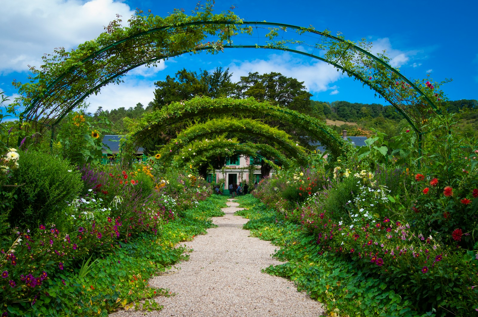 single perspective of pathway leading to house