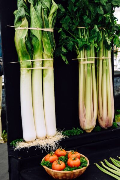 green and black leeks and celery with tomatoes