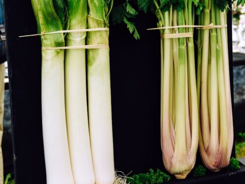 green and black leeks and celery with tomatoes