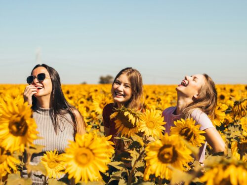 woman in white and black striped shirt standing on yellow sunflower field during daytime