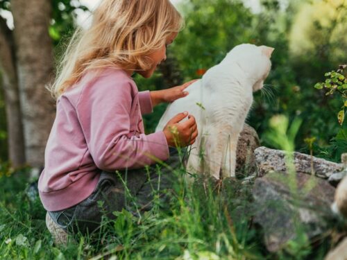 a little girl petting a white cat in the grass