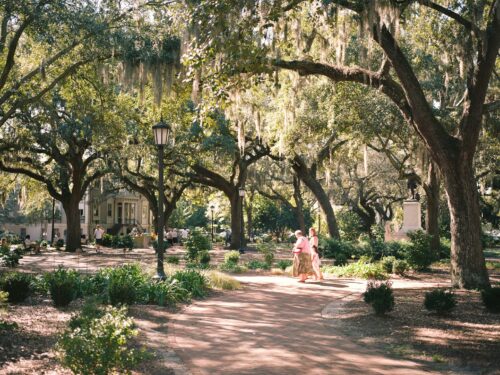 woman in white dress walking on pathway between trees during daytime