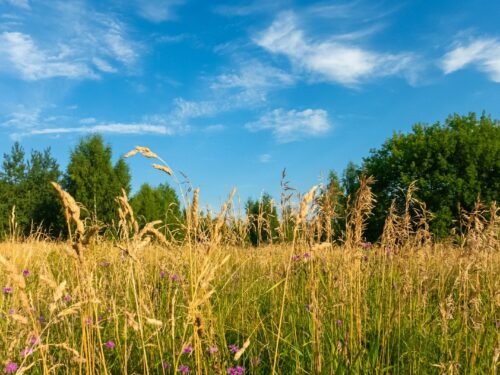 Tai atsitiko Pašvitinyje