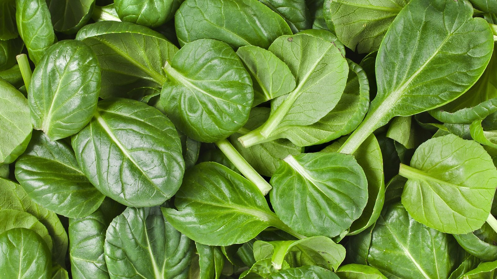 Spinach.jpg